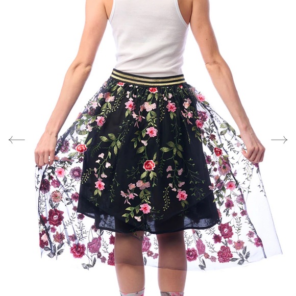 Aratta Dark Rose Embroidered Mesh Skirt - Picture 6 of 9